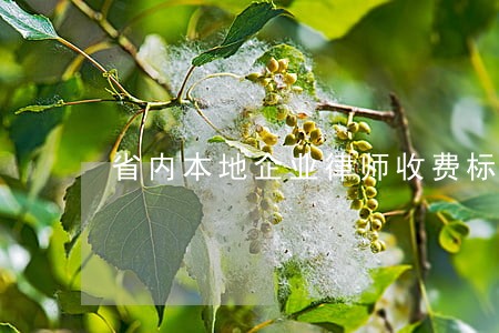 省内本地企业律师收费标准 省内本地企业律师收费标准