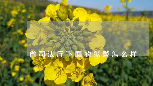 省司法厅下面的狱警怎么样