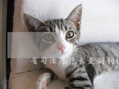 省司法厅厅长是副剖级别