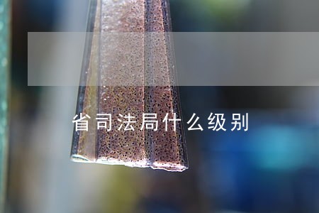 省司法局什么级别