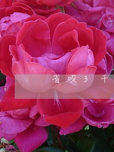 省呗3千元逾期一年要还多少 省呗3千元逾期一年要还多少
