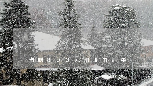 省呗800元逾期的后果 省呗800元逾期的后果