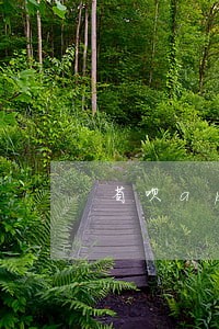 省呗app逾期会上征信嘛 省呗app逾期会上征信嘛