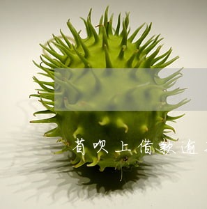 省呗上借款逾期上不上征信 省呗上借款逾期上不上征信
