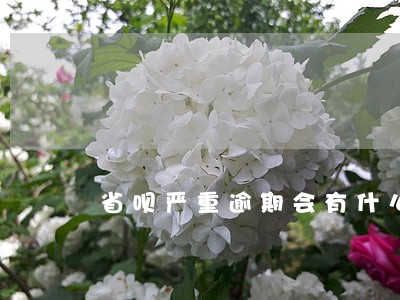 省呗严重逾期会有什么后果 省呗严重逾期会有什么后果