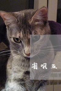 省呗五千块钱逾期两年了 省呗五千块钱逾期两年了