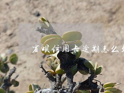 省呗信用卡逾期怎么处理 省呗信用卡逾期怎么处理