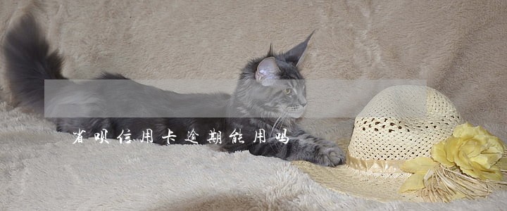 省呗信用卡逾期能用吗