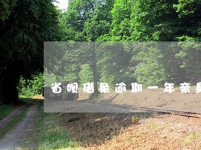 省呗借条逾期一年亲身经历