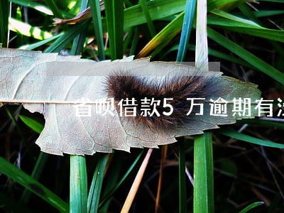 省呗借款5万逾期有没有 省呗借款5万逾期有没有