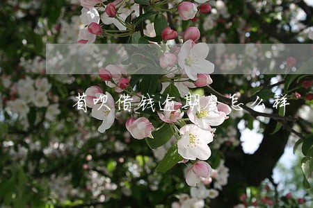 省呗借钱逾期会怎么样 省呗借钱逾期会怎么样