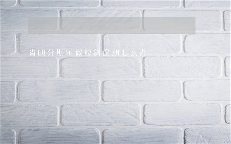 省呗分期乐微粒贷逾期怎么办 省呗分期乐微粒贷逾期怎么办