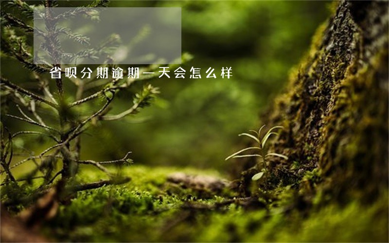 省呗分期逾期一天会怎么样 省呗分期逾期一天会怎么样