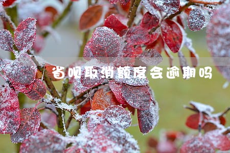 省呗取消额度会逾期吗