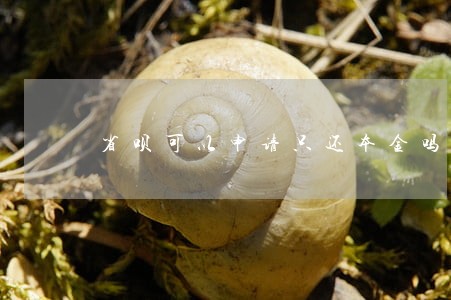 省呗可以申请只还本金吗 省呗可以申请只还本金吗