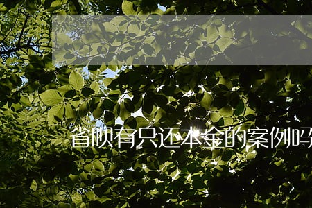 省呗有只还本金的案例吗