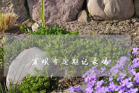 省呗有逾期记录吗 省呗有逾期记录吗
