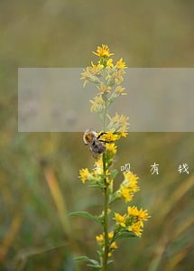 省呗有钱花逾期了 省呗有钱花逾期了