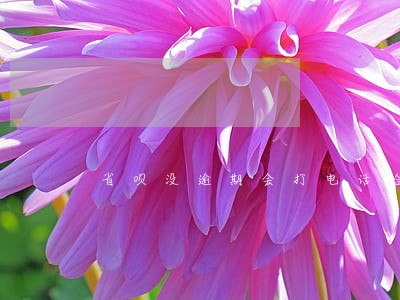 省呗没逾期会打电话给家人吗 省呗没逾期会打电话给家人吗
