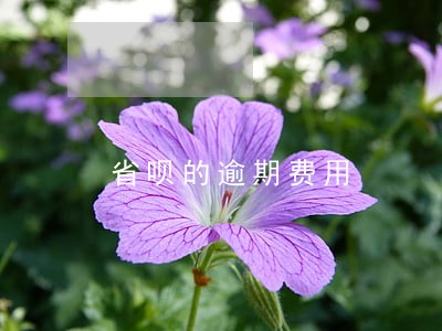 省呗的逾期费用 省呗的逾期费用