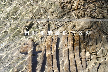 省呗账单逾期怎么办 省呗账单逾期怎么办