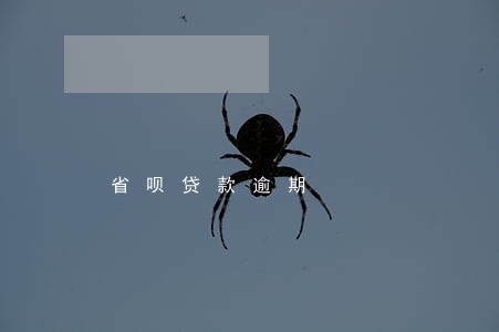 省呗贷款逾期 省呗贷款逾期