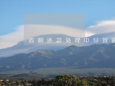 省呗还款处理中导致逾期