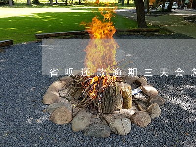 省呗还款逾期三天会怎样 省呗还款逾期三天会怎样