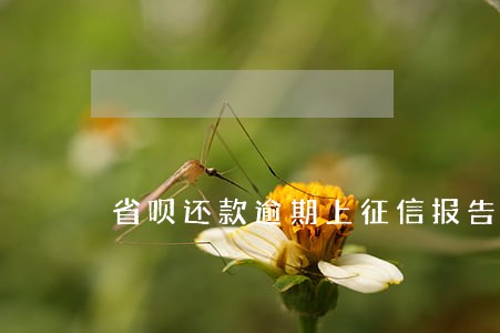 省呗还款逾期上征信报告 省呗还款逾期上征信报告