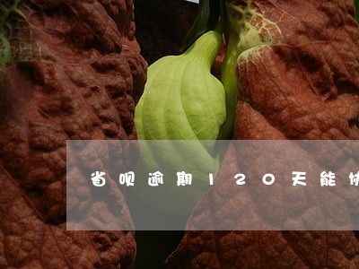 省呗逾期120天能协商分期吗 省呗逾期120天能协商分期吗