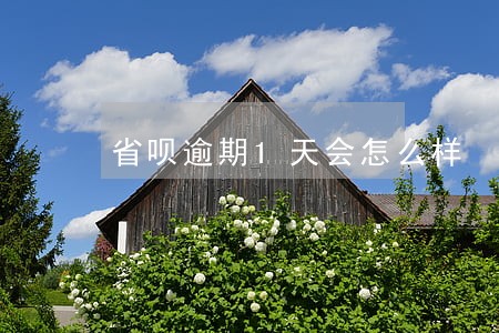 省呗逾期1天会怎么样 省呗逾期1天会怎么样