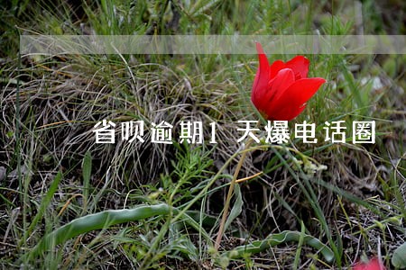 省呗逾期1天爆电话圈
