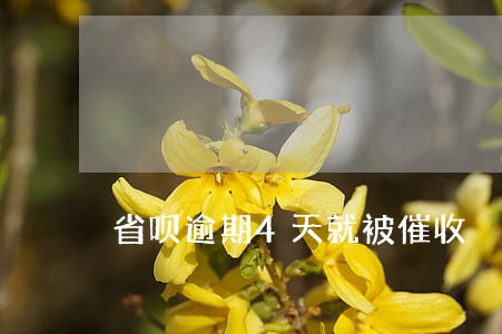 省呗逾期4天就被催收 省呗逾期4天就被催收