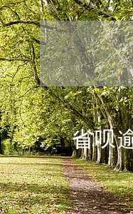 省呗逾期5000元 省呗逾期5000元