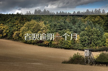 省呗逾期一个月