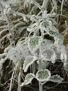 省呗逾期一个月会上门吗 省呗逾期一个月会上门吗