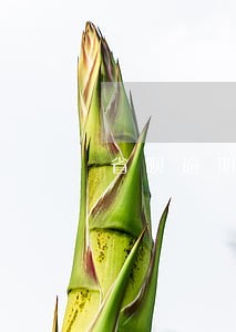 省呗逾期一个月才能还上 省呗逾期一个月才能还上