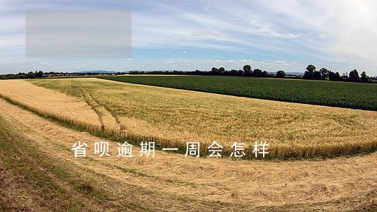 省呗逾期一周会怎样