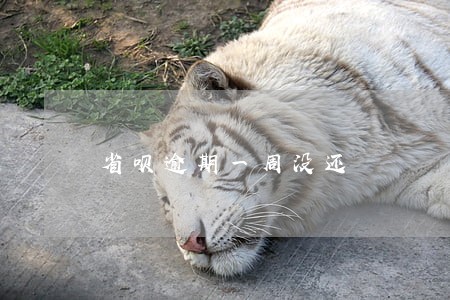 省呗逾期一周没还