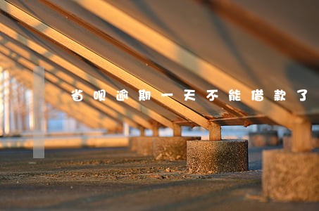 省呗逾期一天不能借款了 省呗逾期一天不能借款了