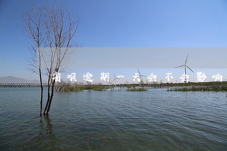 省呗逾期一天会不会影响征信