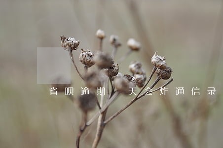 省呗逾期一天会炸通信录吗 省呗逾期一天会炸通信录吗