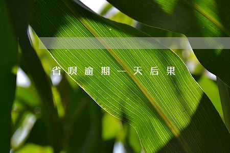 省呗逾期一天后果 省呗逾期一天后果