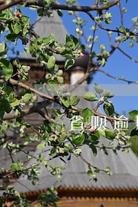 省呗逾期一天就爆联系人怎么办 省呗逾期一天就爆联系人怎么办