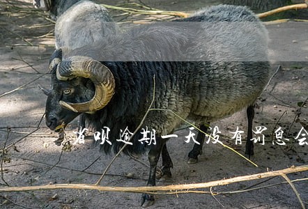 省呗逾期一天没有罚息会上征信么 省呗逾期一天没有罚息会上征信么