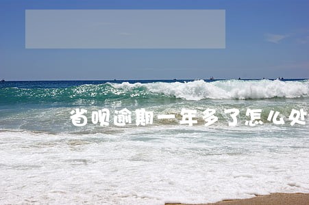 省呗逾期一年多了怎么处理 省呗逾期一年多了怎么处理