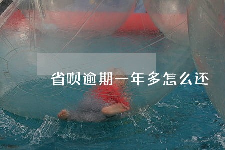 省呗逾期一年多怎么还