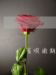 省呗逾期一年未还款