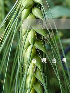 省呗逾期一年的人 省呗逾期一年的人