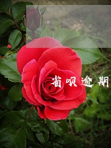 省呗逾期一年的有吗 省呗逾期一年的有吗